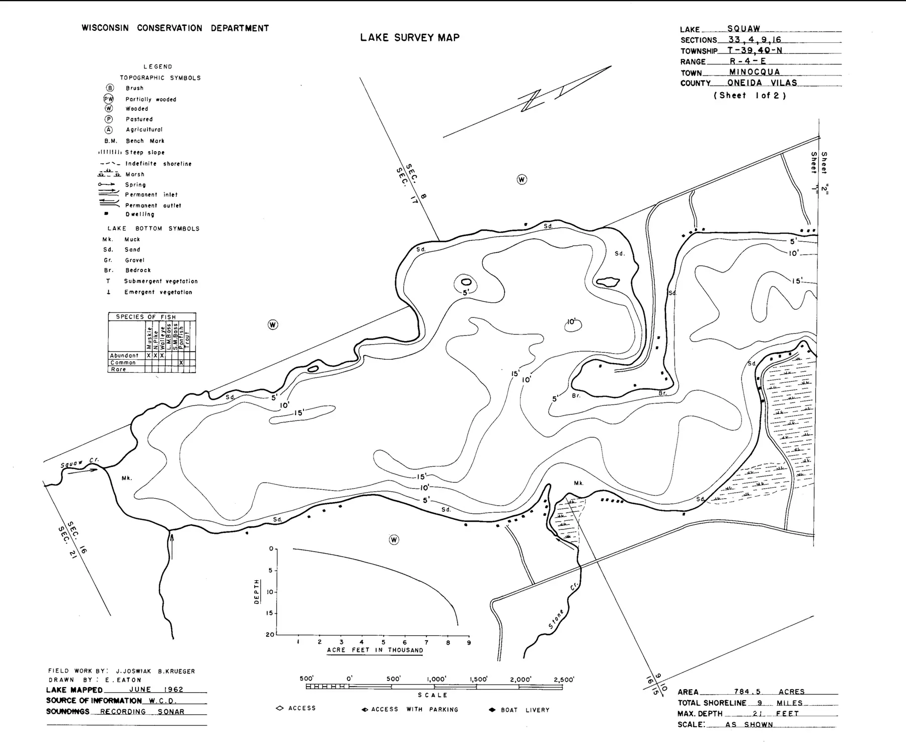 DNR survey map of Amber Lake