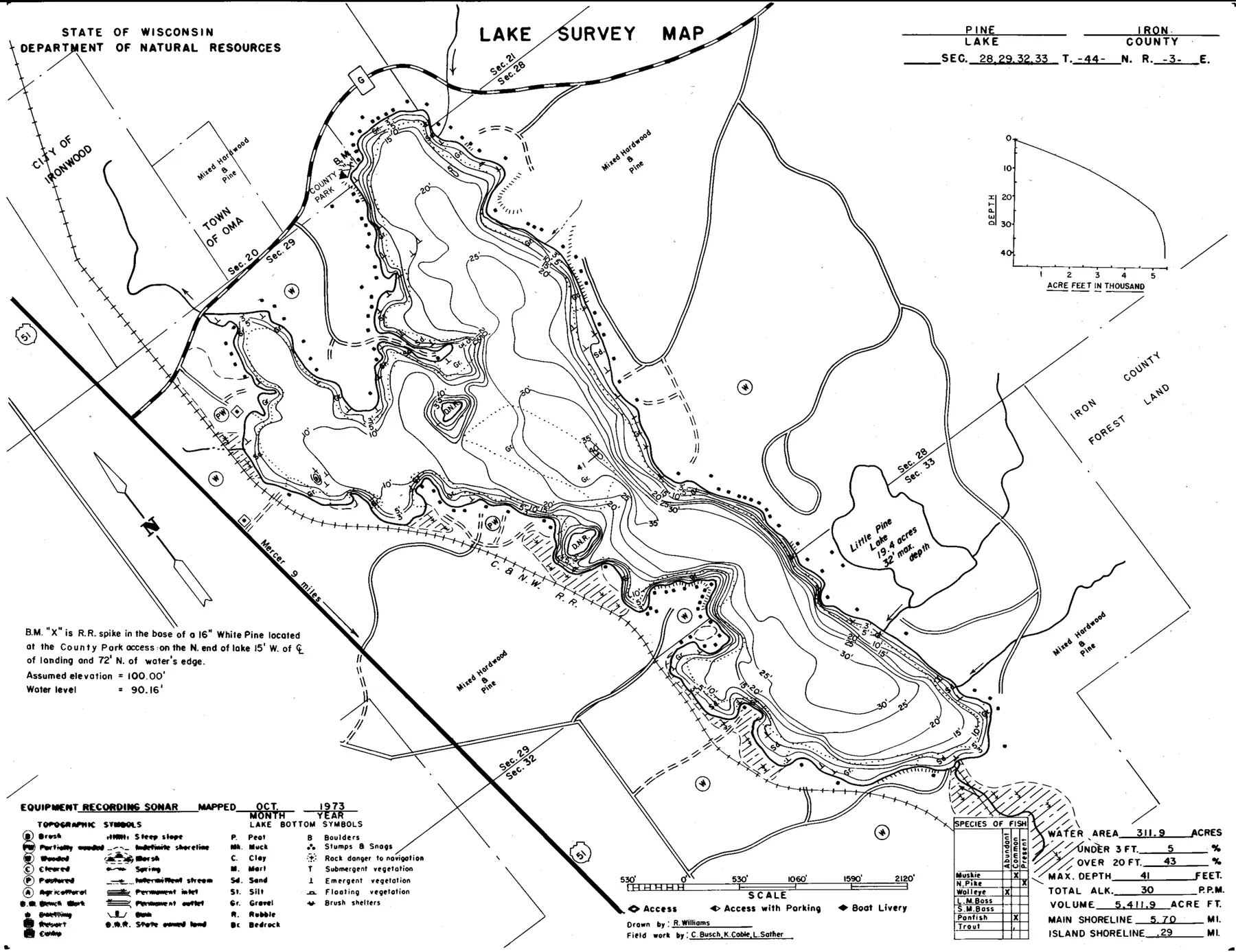 DNR survey map of Pine Lake, with depths in feet. Tap to zoom.